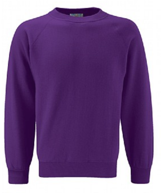 Violet Way Nursery & Care Club Violet Sweatshirt (OPOJ)