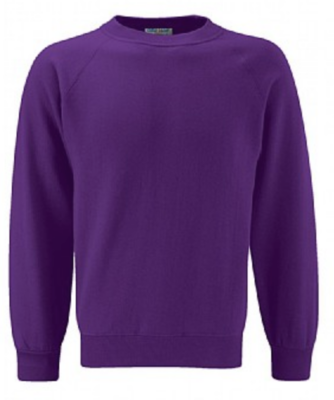 Violet Way Nursery & Care Club Violet Sweatshirt