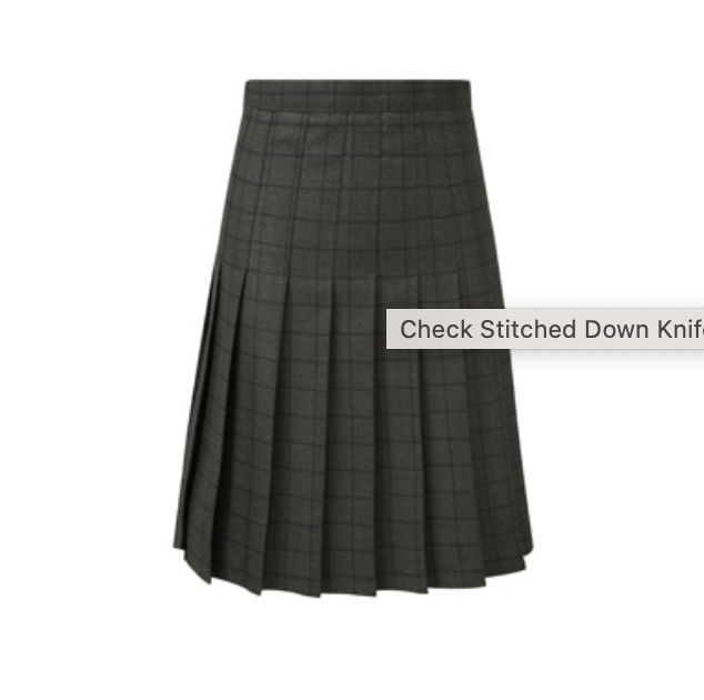 JT High School Skirt (Junior)