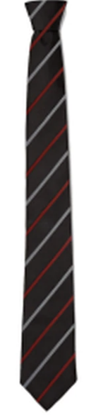 Pingle Academy Tie