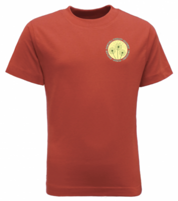 Dosthill PE T-Shirt with School Logo
