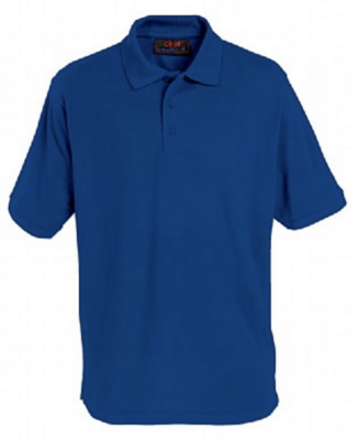 Newton Solney Dark Royal Polo with School Logo