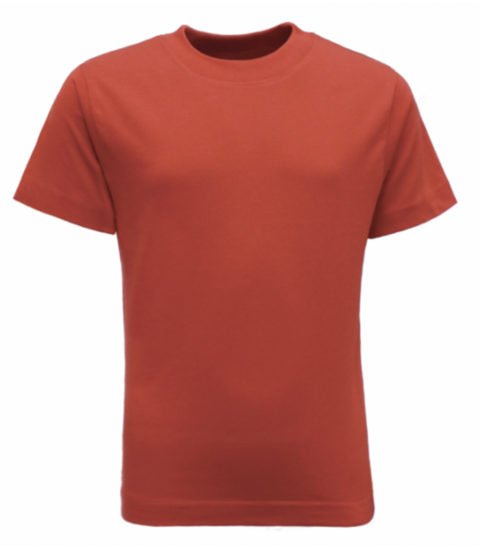 Edge Hill Academy PE T-Shirt with School Logo