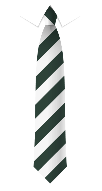 de Ferrers Academy Tie