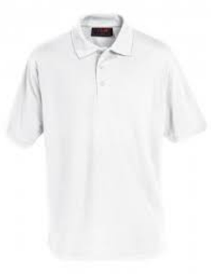 Branston Locks Polo Shirt with School Logo