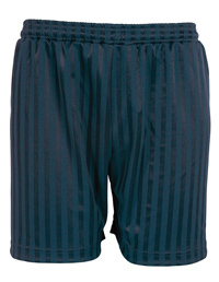 Navy Shadow Stripe Shorts - Ref 3BS