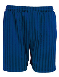 Royal Blue Shadow Stripe Shorts - Ref 3BS