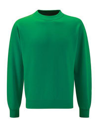 Springfield Emerald Sweatshirt with School Logo