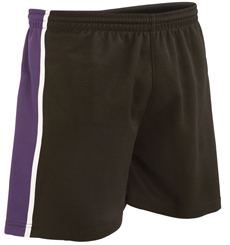JTHS Panelled PE Shorts with House Logo (P231) (Junior Sizes)