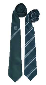 de Ferrers Academy Tie