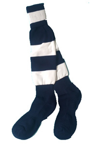 King Edward VI Navy & White Sports Socks