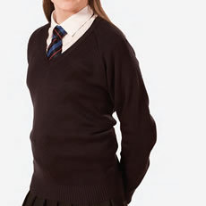 JTHS V Neck Jumper with House logo (Senior Sizes)