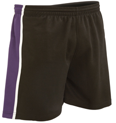 JT Free School Panelled PE Shorts with House Logo (P231) (Senior Sizes)