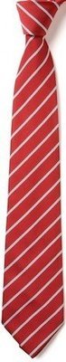 Coton-In-The-Elms Clip On Tie