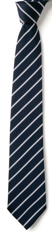 Rosliston School Clip on Tie