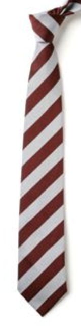Garden Village School Tie