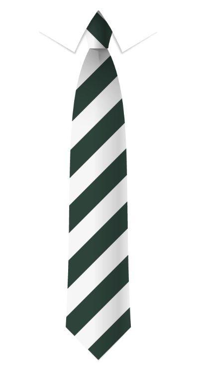 de Ferrers Academy Tie
