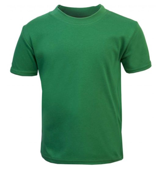 River View Emerald PE T-Shirt with School Logo