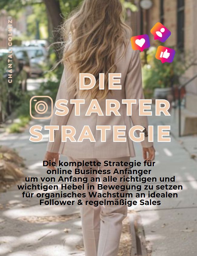 Die Instagram Starter Strategie (mit MRR)