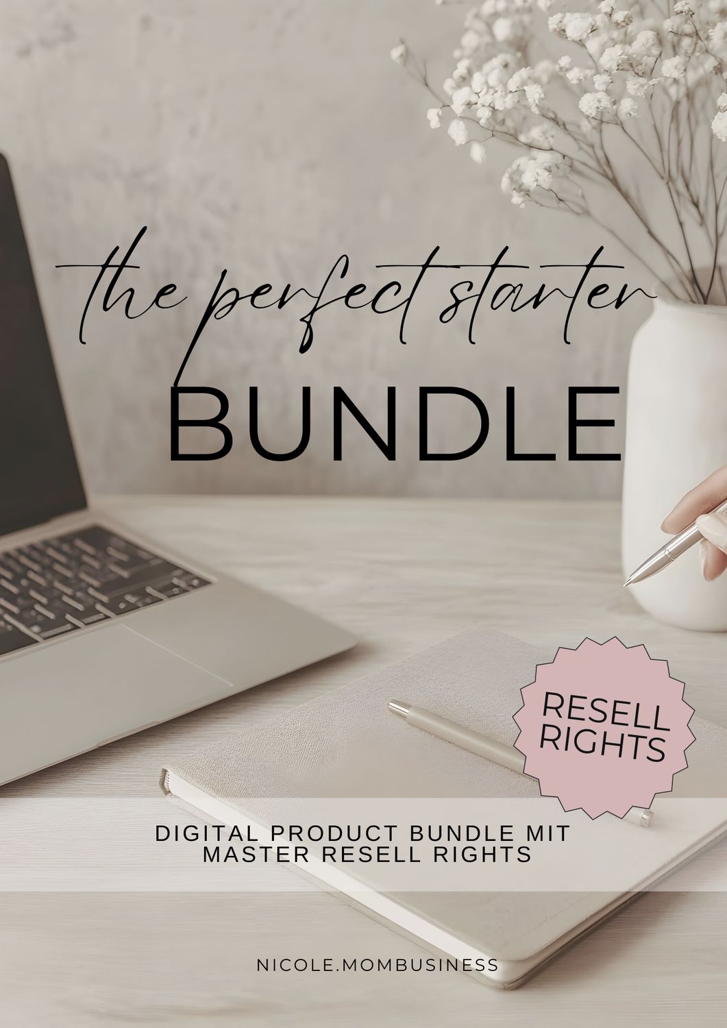 The Perfect Starter Bundle (MRR)