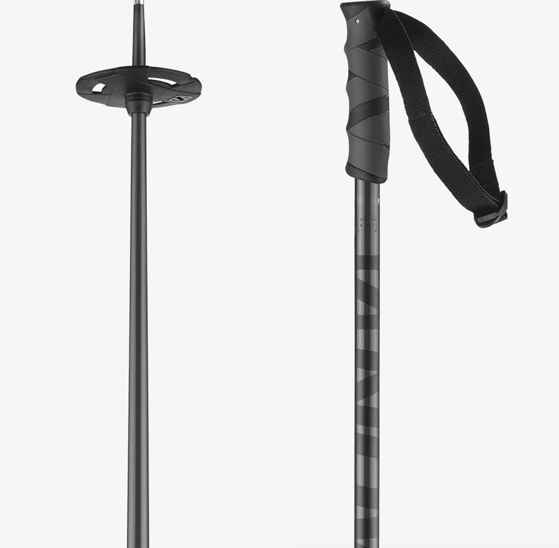 Salomon Hacker Pole