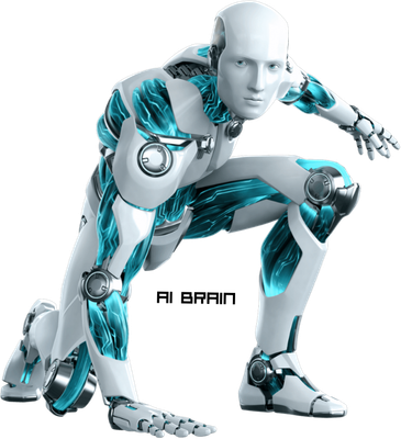 Dynamic Bots