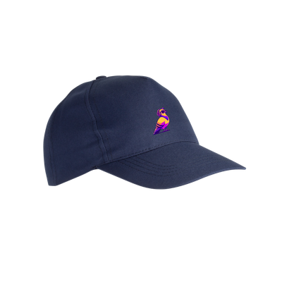 Cap  Blue - Little Color Pigeon