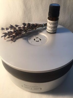 Lavender Essential Oil