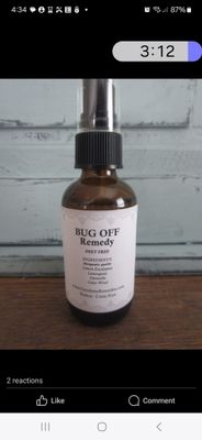 Bug Off Remedy - 4 oz