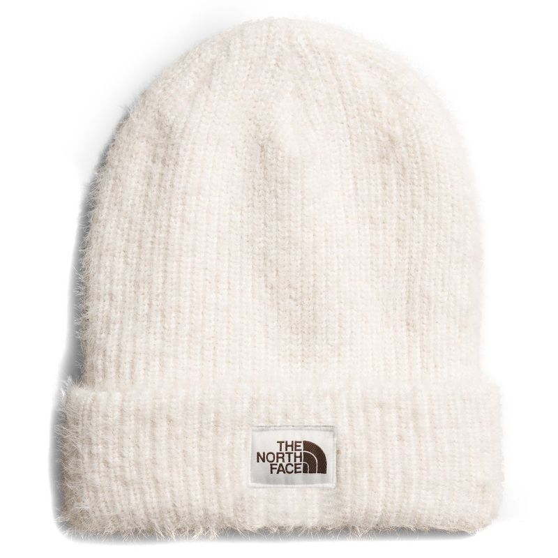 THE NORTH FACE SALTY BAE LINED BEANIE