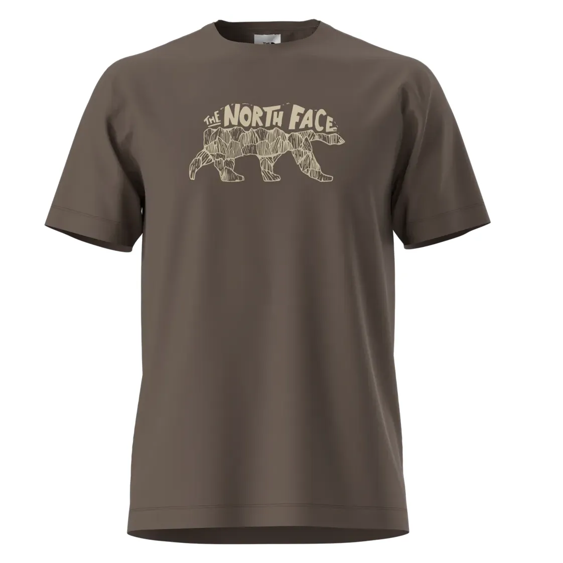 THE NORTH FACE EVOLUTION BEAR TEE