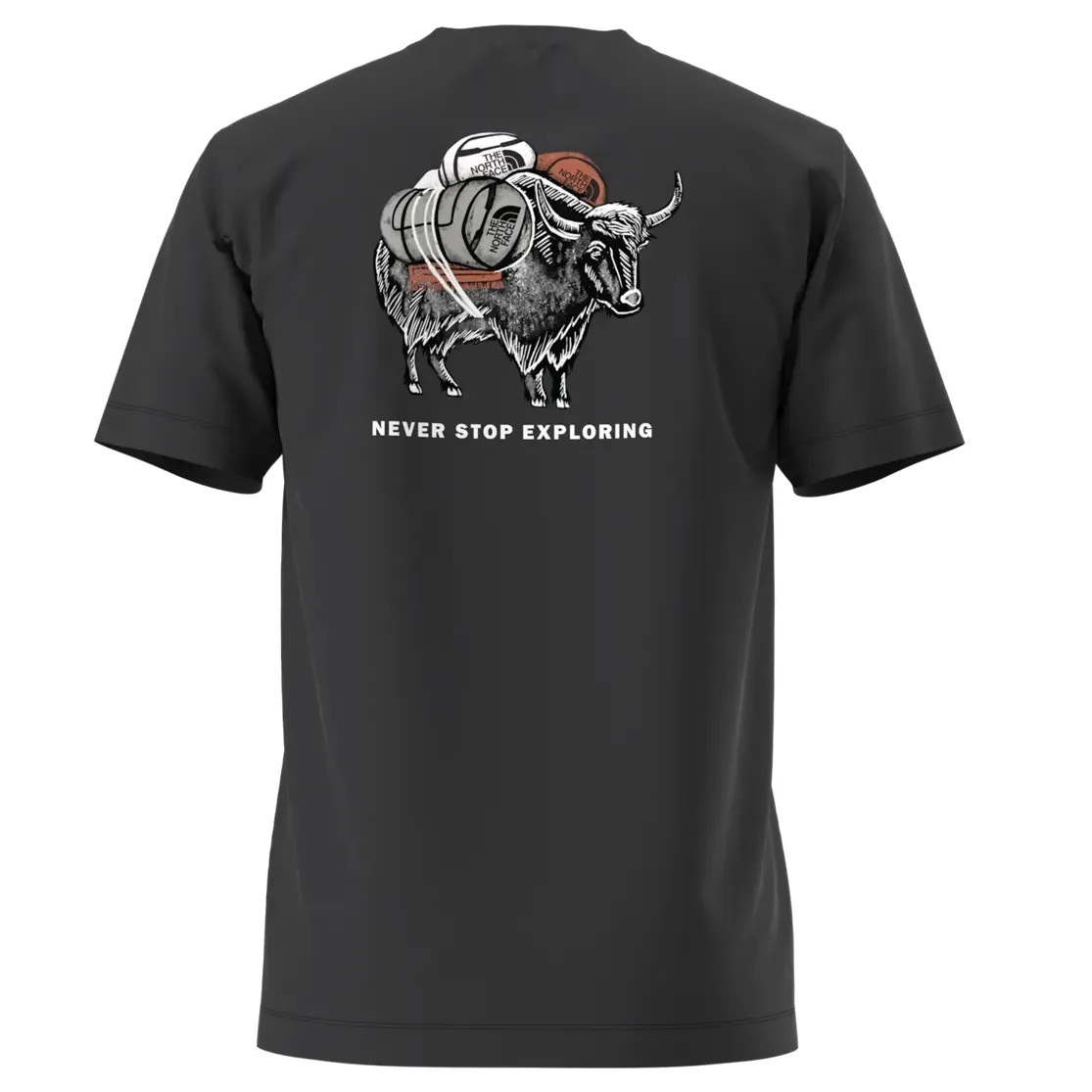 THE NORTH FACE EVOLUTION VAULT TRI PACK TEE