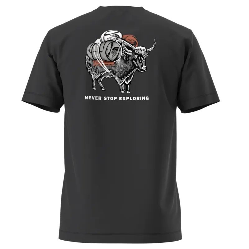 THE NORTH FACE EVOLUTION VAULT TRI PACK TEE 