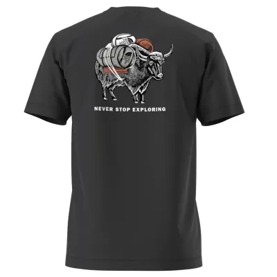 THE NORTH FACE EVOLUTION VAULT TRI PACK TEE