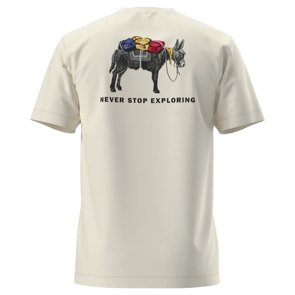 THE NORTH FACE EVOLUTION PACK TEE