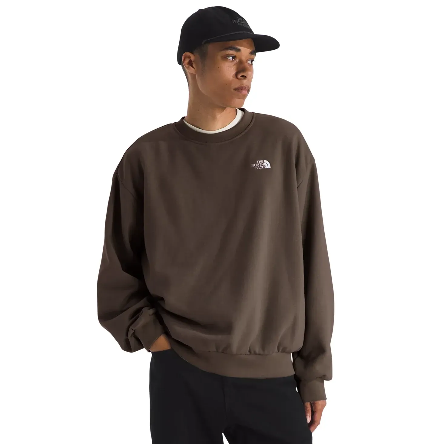 THE NORTH FACE SIMPLE DOME OVERSIZED CREWNECK SWEATSHIRT