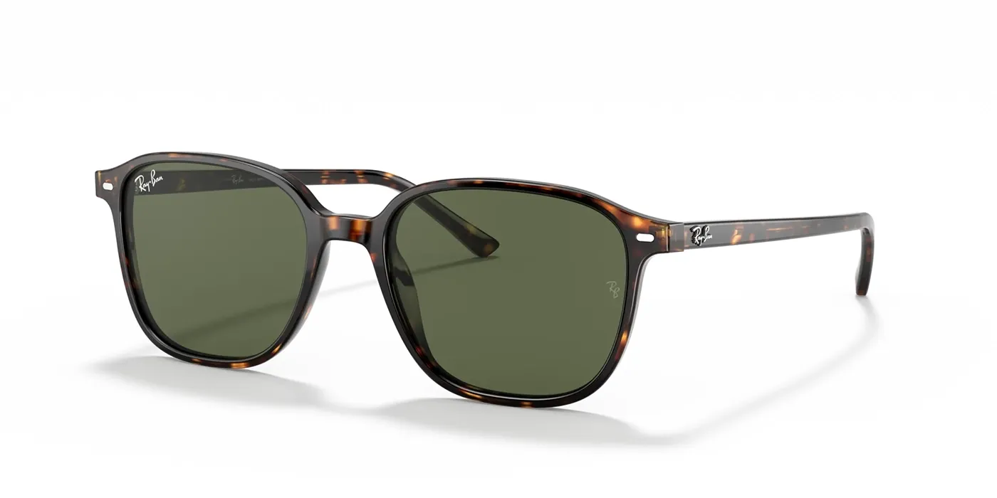 RAY-BAN LEONARD SUNGLASSES