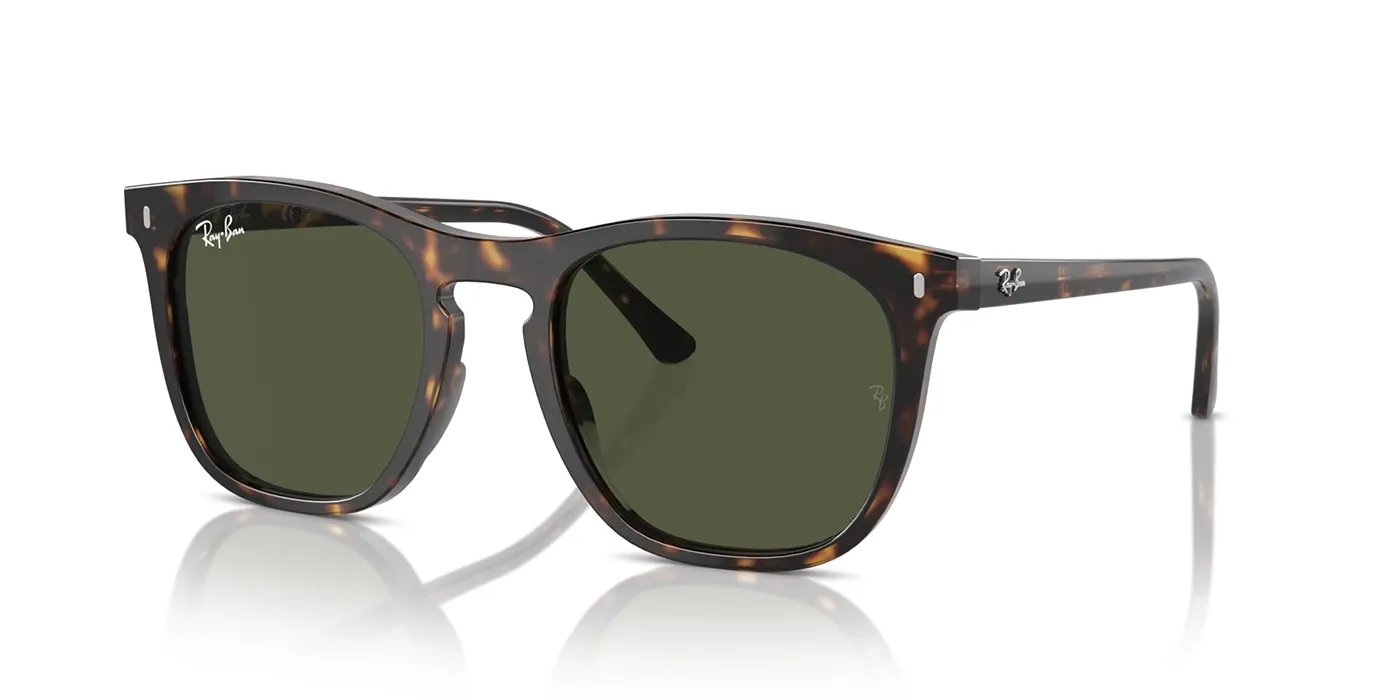 RAY-BAN RB2210 SUNGLASSES