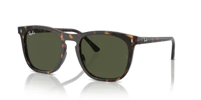 RAY-BAN RB2210 SUNGLASSES
