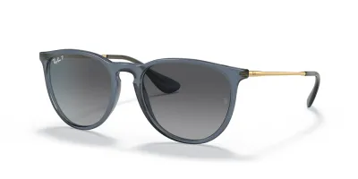 RAY-BAN ERIKA CLASSIC SUNGLASSES