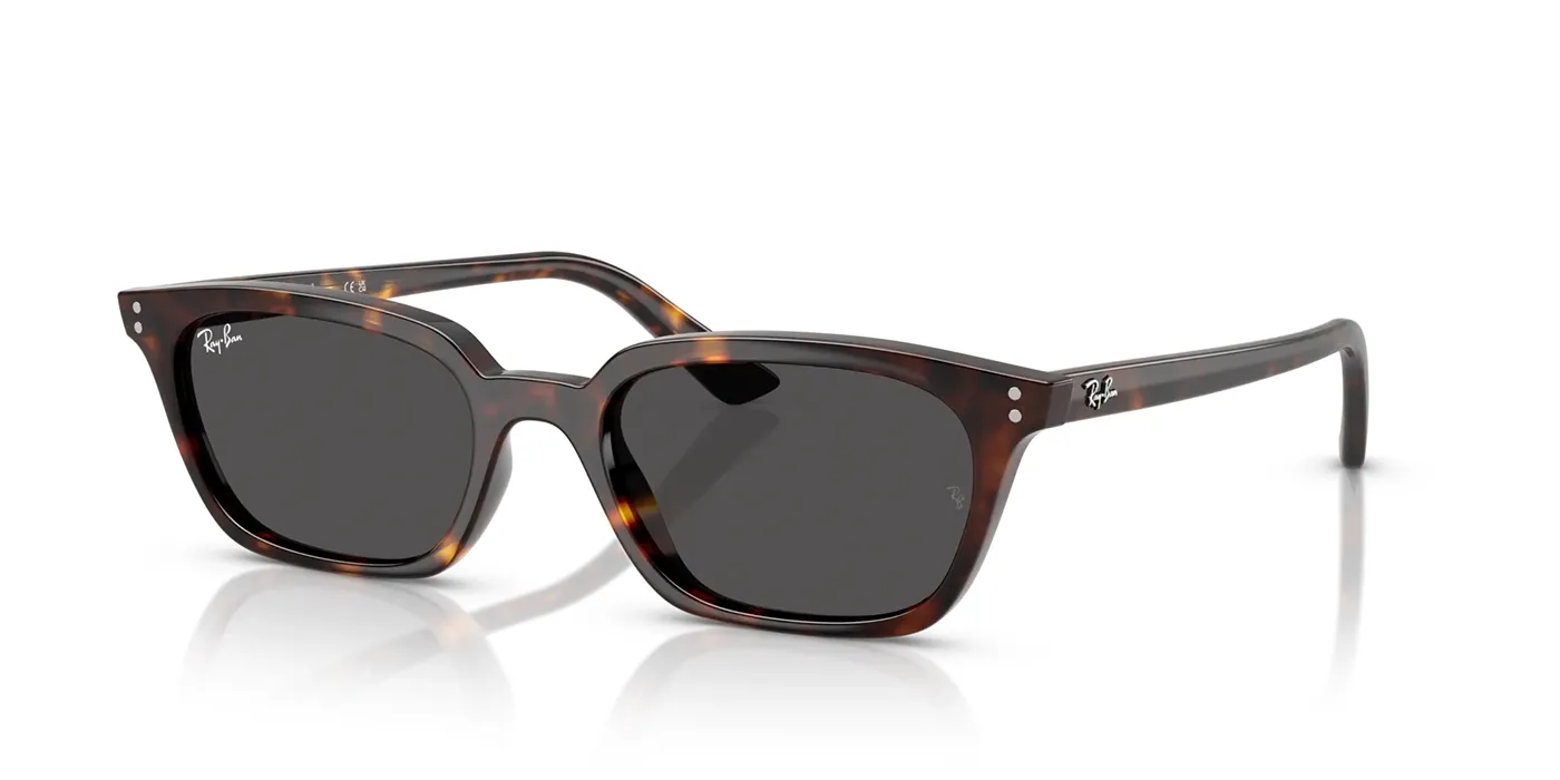 RAY-BAN ZAYA SUNGLASSES