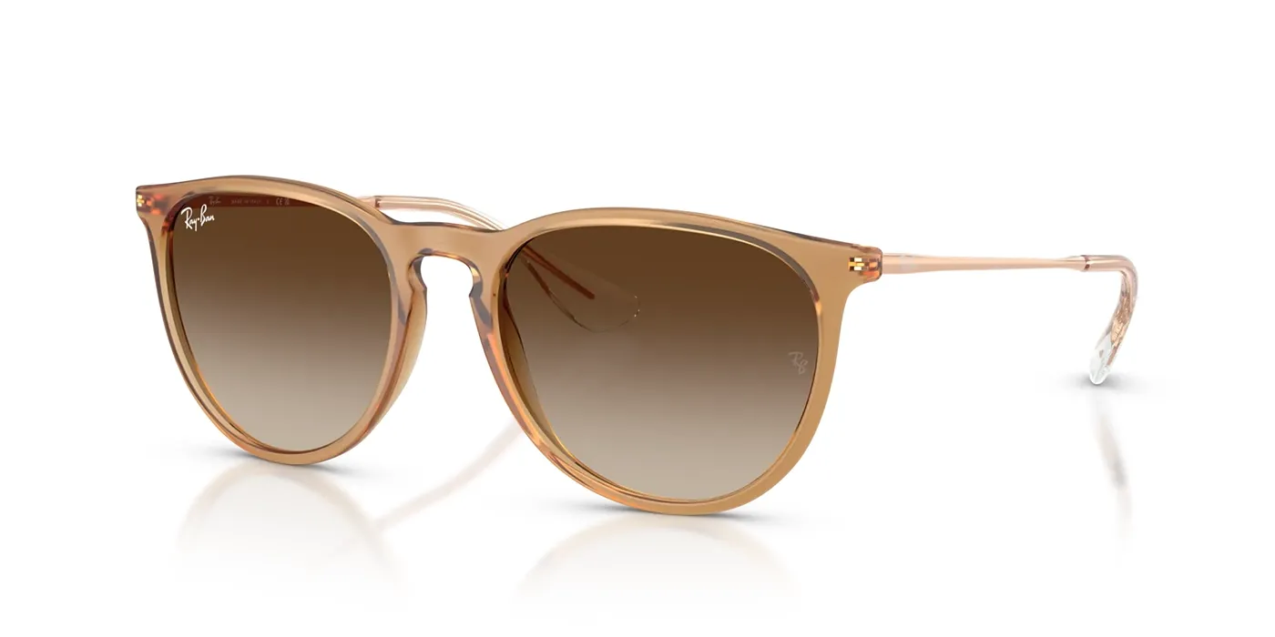 RAY-BAN ERIKA CLASSIC SUNGLASSES
