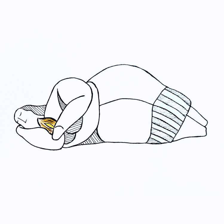 Sleeping Lady with Pastizz Magnet