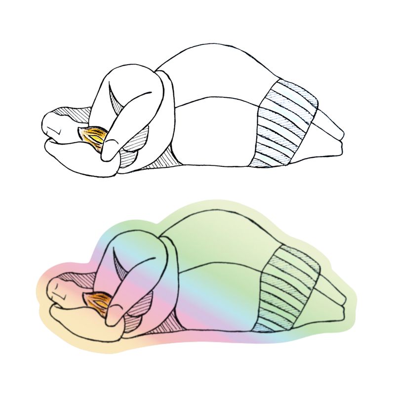 Sleeping Lady with Pastizz Stickers