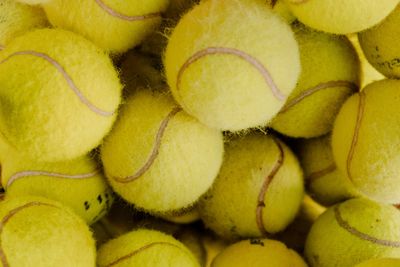 Holidays Tennis at West Meon Recreation Ground Tennis Courts