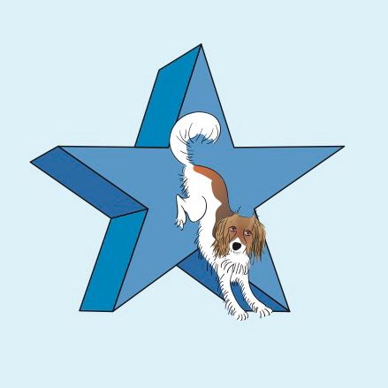 Trickzertifikat Level  STAR