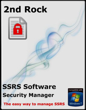 SSRS Security Manager Professional User