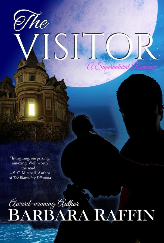 The Visitor by Barbara Raffin The Visitor by Barbara Raffin