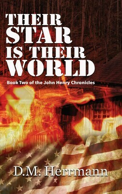 Their Star Is Their World: Book Two of the John Henry Chronicles by D.M. Herrmann