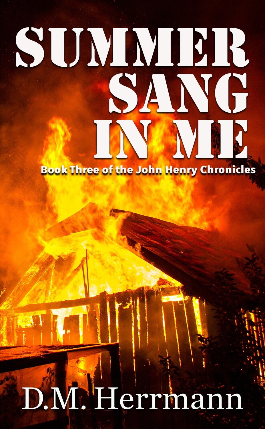PRE-ORDER: Summer Sang in Me: A John Henry Chronicles Novel by D.M. Herrmann PRE-ORDER: Summer Sang in Me: A John Henry Chronicles Novel by D.M. Herrmann